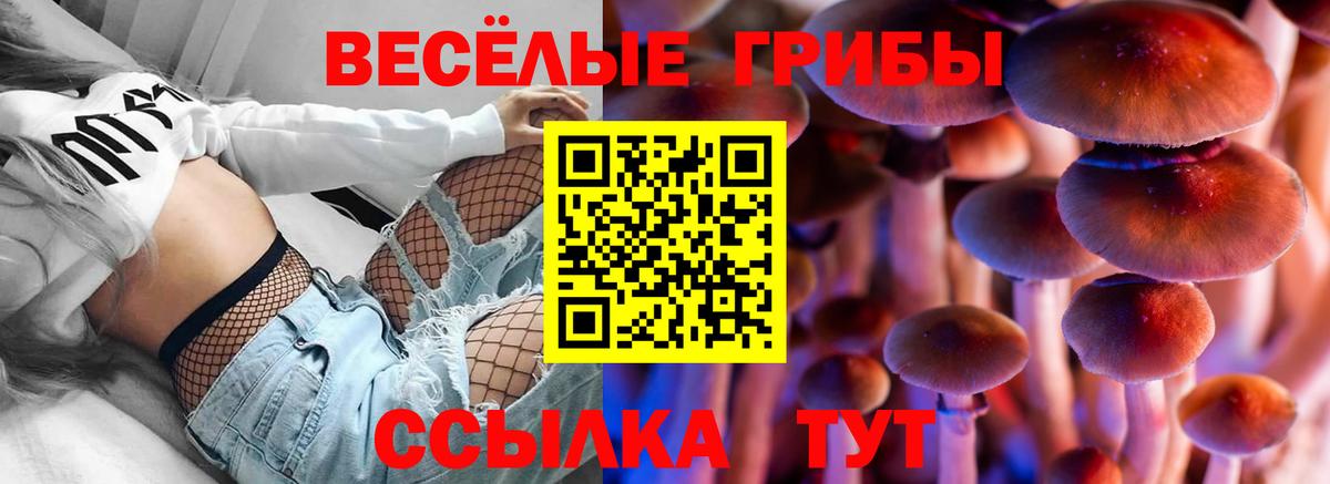 Галлюциногенные грибы мухоморы  Галлюциногенные грибы MAGIC MUSHROOMS  Вход с VPN  Димитровград 
